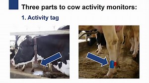 Cattle Tracking Systems | 2019 Guide to GPS Ear Tags, Collars and Software