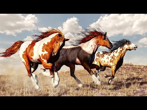 Wild Horses: Nature's Survivors in North America