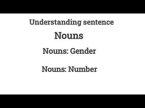 NOUNS | Common Nouns | Nouns: Gender | Nouns: Number