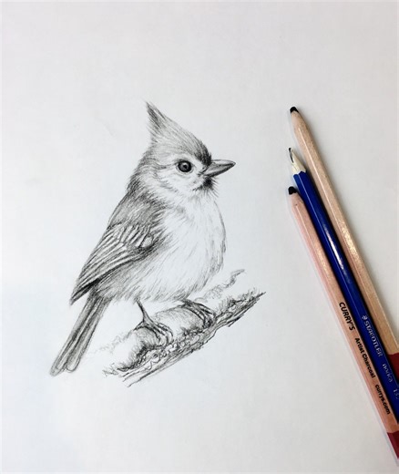 4.6K views · 70 reactions | Take on drawing this fall and winter! https://artistspalettedurham.com/collections/drawing-virtual-events #learntodraw #drawingforbeginners #onlinedrawingclasses | Artist's Palette Durham Region | Facebook