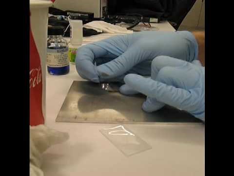 Strain Gage Tutorial