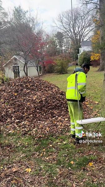 Swing and Leaf Jump Techniques for Maximum Height