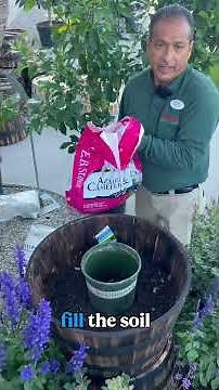 Can You Really Grow Blueberries in a Pot?