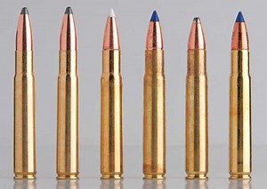 .35 Whelen Load Data - A Practical Powerhouse - Shooting Times