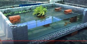 12K views · 34 reactions | This minimalist luxury fish pond, apparently from cork! CHEAP | Vanuatu citizenship by investment program | Facebook