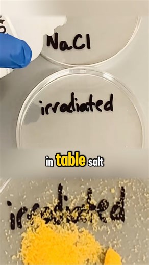 Alkaline Metals in Chemistry: Exciting Reactions