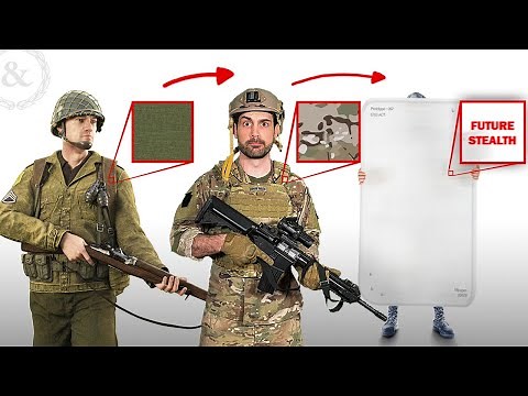 How Camouflage Evolved