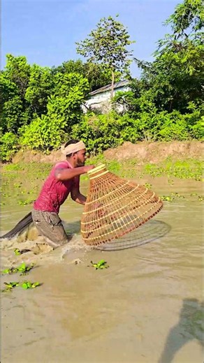 Wow! Amazing Polo Fishing Videos ! Best Big Fish Catching ! Primitive Technique fishing #fish #india