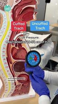 🫁 Tracheostomy Tubes: Cuffed Vs. Uncuffed #RN #BSN #futurenurse