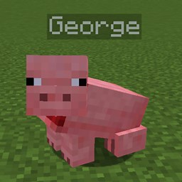 PigFriend