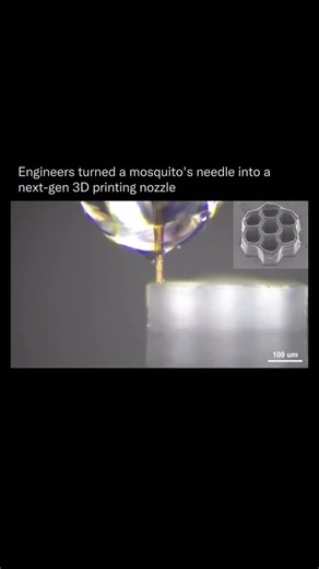 Detailed Explanation on Instagram: "Engineers have recreated one of nature’s most precise tools. A mosquito’s proboscis, the ultra-thin needle it uses to pierce skin, inspired a new high precision 3D printing nozzle that can create structures only micrometers wide. The team studied how the proboscis slides smoothly into tissue with minimal force. They then engineered a flexible, layered nozzle that mimics its shape and mechanics, allowing it to print complex microstructures with extraordinary ac