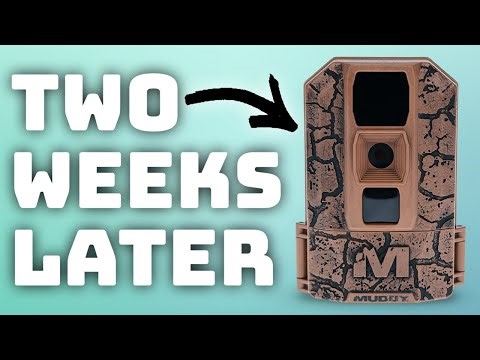 Muddy Pro Cam 20 — Two Week Field Test (Surprising Footage!)