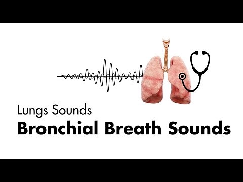 Bronchial Breath Sounds - Lung Sounds - Medzcool