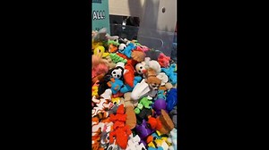 1.7K views | Wiggly fidgets that are so fun to collect, come check out the latest hot toy, WIGGLITZ! learningexpress.com #learningexpress #learningexpresstoys #letoys #trendingtoys #giftshop | Learning Express Toys Inc | Facebook