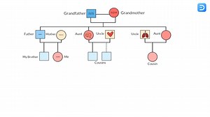 How to make a genogram though EdrawMax online Do your own familial...