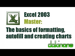 Excel 2003 - All you need to know to get started