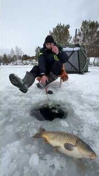 An attraction in the middle of a freezing lake ❄️When the ice comes into motion😍🔥