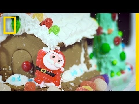 The History of Gingerbread: A Tasty Holiday Tale | National Geographic