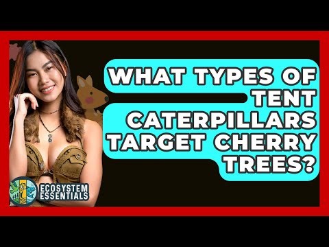What Types Of Tent Caterpillars Target Cherry Trees? - Ecosystem Essentials
