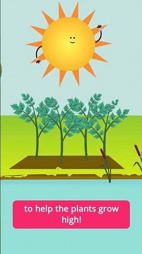 The sun helps to grow plants for us to eat! #educationalsongs #scienceforkids