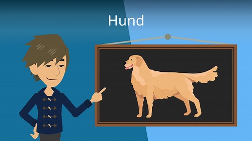 Hund • Steckbrief: Alles Wissenswerte über Hunde