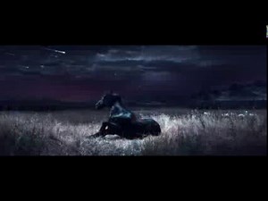 Audi A4 Commercial NL