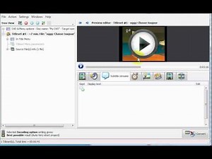 ConvertXtoDVD 5 interface preview
