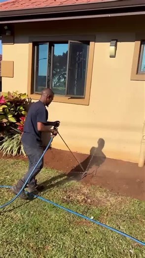 Effective Termite Eradication Methods for Your Home