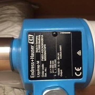 Endress + Hauser Liquicap M FIT51 Level Switch Verification, explained live, from the field
