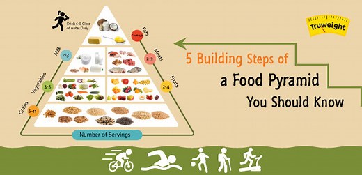 5 Building Steps of a Food Pyramid You Should Know