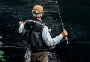 How To Fillet A Perch: Everything You Need To Know To Fillet Your First Perch - Fresh Water Fishin