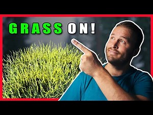 Speedtree Tutorial - How to create Grass in 10 min