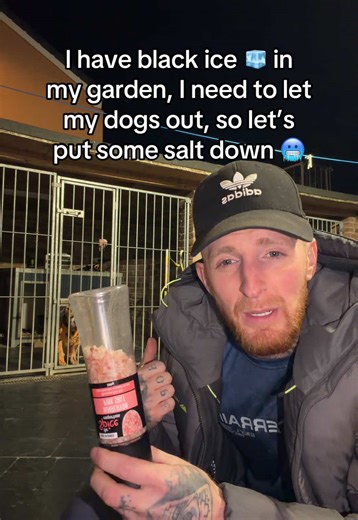 Managing Black Ice in Your Garden Safely