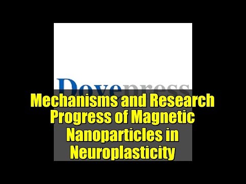 Mechanisms and Research Progress of Magnetic Nanoparticles in Neuroplasticity | NSA