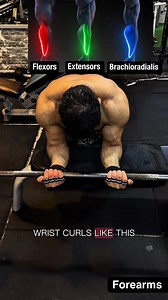 125K views · 1.2K reactions | Forearms tutorial. 3 Forearm Exercise Variations for Size & Strength:1. Wrist Curls (Palms Up) – Targets the flexors (underside of forearms) 2. Reverse Wrist Curls (Palms Down) – Hits the extensors (top of forearms) 3. overhand barbell Curl – Builds grip strength and overall forearm endurance Add these to arm day for thicker, stronger forearms! #ForearmWorkout #GripGains #ArmDay #WristStrength #FunctionalMuscle #TrainHard | Bodyfitness GYM | Facebook