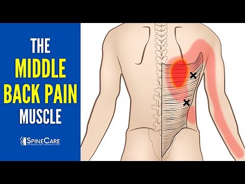 The 3 Middle Back Pain Muscles (How to Target Them for INSTANT RELIEF)