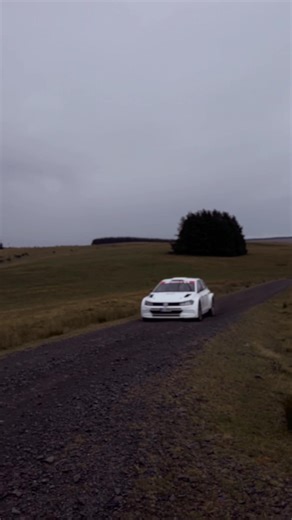 Kelly Davies on TikTok