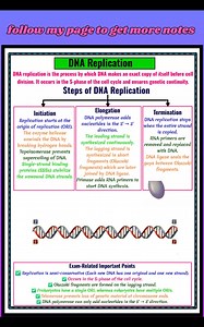 156K views · 1.4K reactions | "Copying life’s code! 溺✨ Dive into the fascinating world of DNA replication — the key to inheritance and cell division. A must-know for NEET & boards!" #DNAReplication #MolecularBiology #Genetics #NEETBiology #Class12Biology #CBSEScience #DNA #ReplicationProcess #BiologyNotes #ScienceReels #JoshStudyPoint #CellDivision #QuickRevision #BoardExam2025 #StudySmart | Josh Study point | Facebook