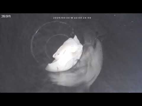 New Build Sewer Cam Scan in Arizona