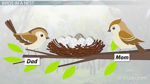 Short Story About Obedience for Kids