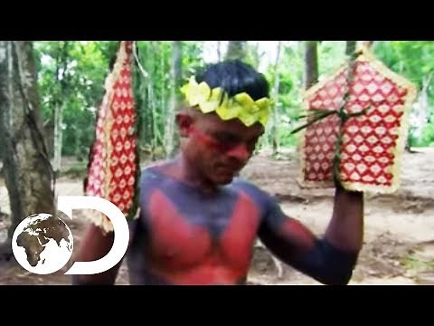 The Sateré-Mawé Tribe Subject Themselves To Over 120 Bullet Ant Stings | Wildest Latin America