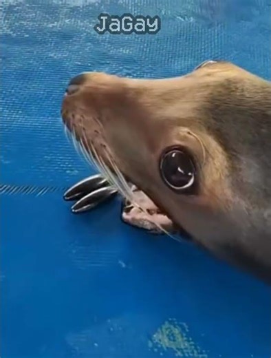 Counter Strike: Source (3) (no effort) #counterstrike #cs