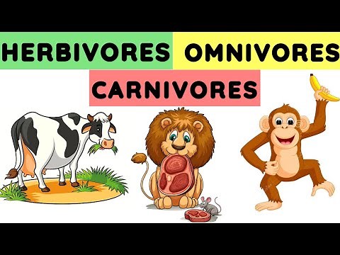 Herbivores carnivores and omnivores | Animals and their food | Eating habits of animals |#herbivores