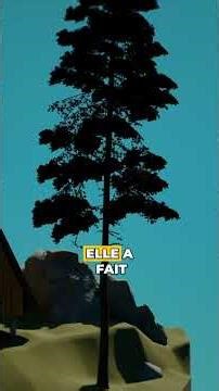 Comment construire une Maison en A ?