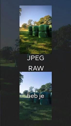 What is the difference between JPEG and RAW?📷