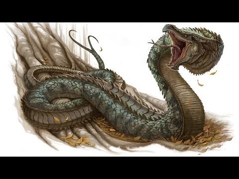 The Basilisk and the Cockatrice - What is the difference?