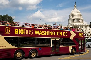 DC: Hop-On Hop-Off Bus Tour with Arlington Cemetery Audio Guide