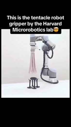 Harvard Microrobotics Lab: Tentacle Robot Gripper Innovation
