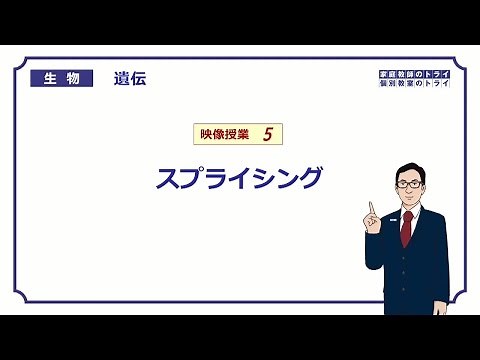 [High School Biology] Genetics 5: Splicing (12 minutes)