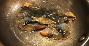 How to cook soft-shell crab at home